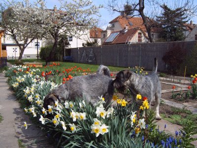 April 2005