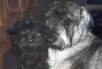 Gretel und Clara