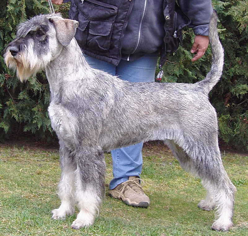 Quanasta